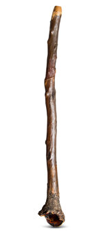 Heartland Didgeridoo (HD573)